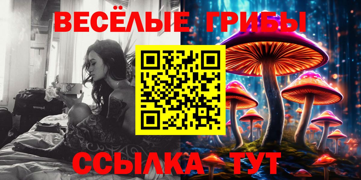 Псилоцибиновые грибы мицелий  Вход с VPN  Норильск 
